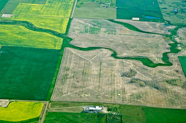 Complete Partnership